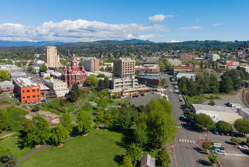 Moving boxes in a bright living room with a view of Bellingham Bay