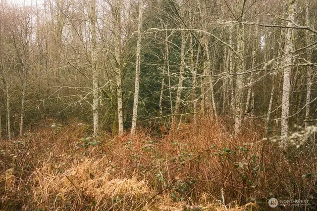 Land, Bellingham