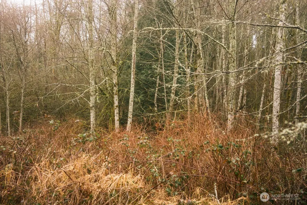 Land, Bellingham