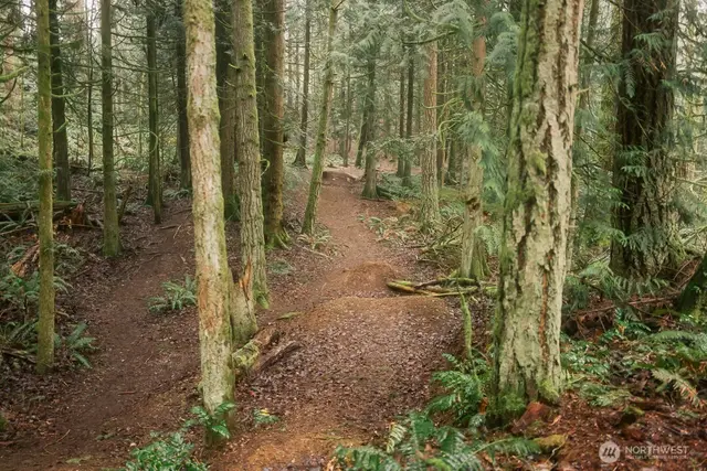 Land, Bellingham