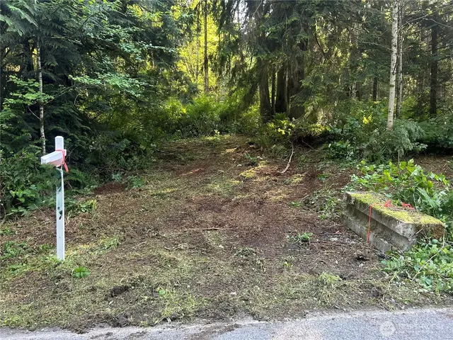 Land, Bellingham