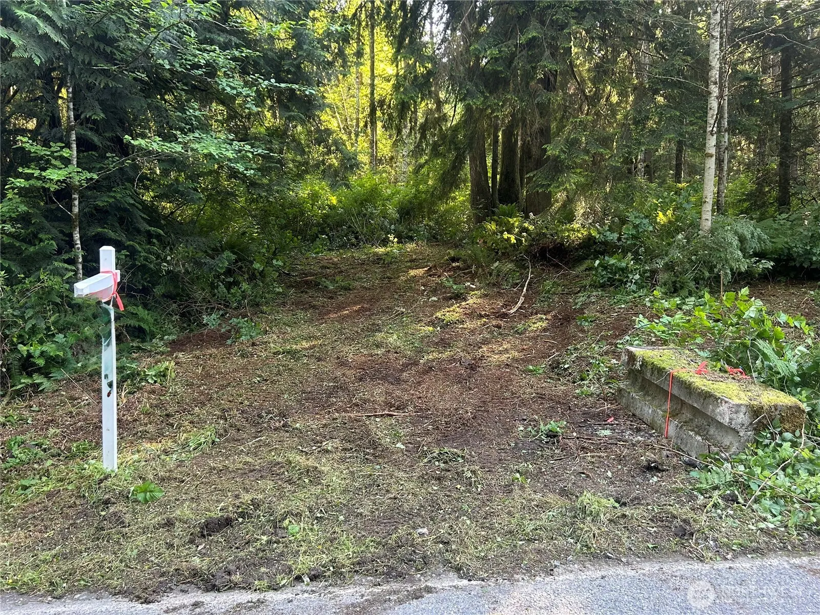 Land, Bellingham