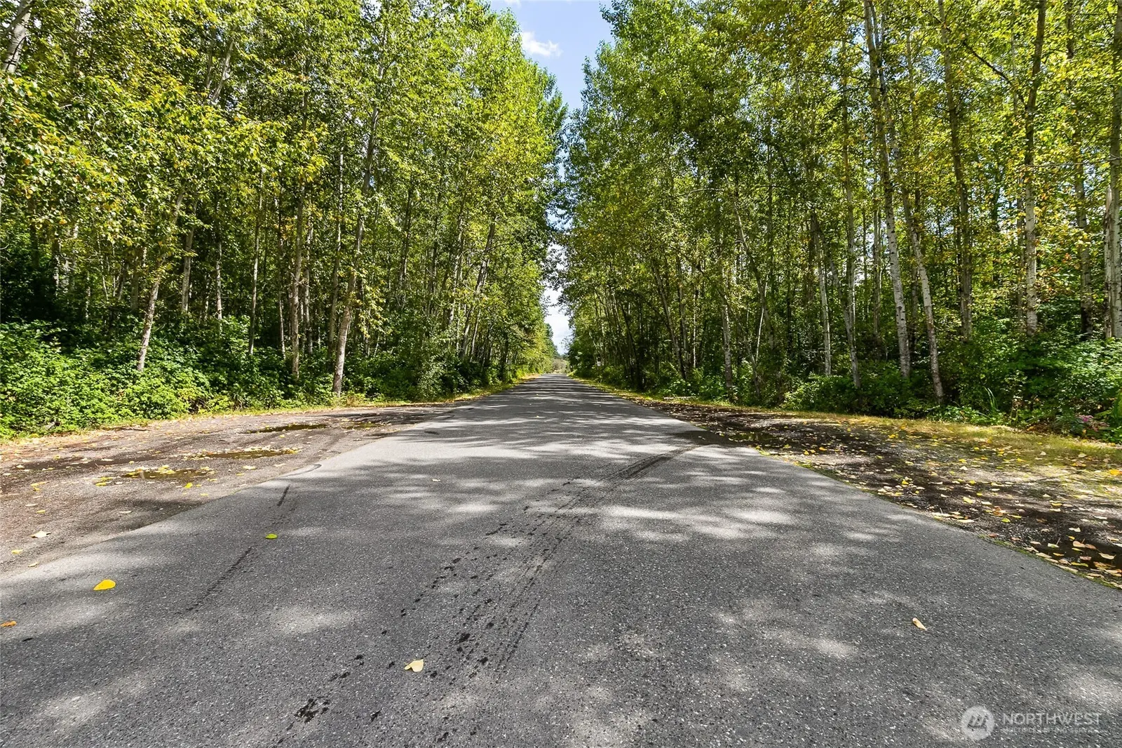 Land, Bellingham