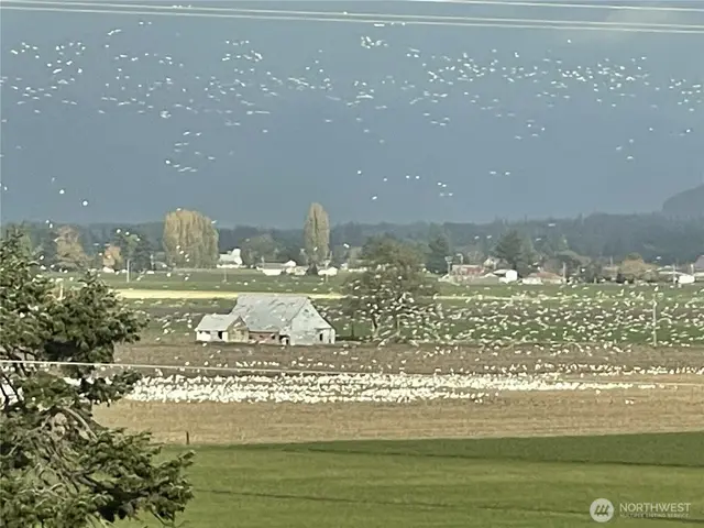 Traditional, Mount Vernon
