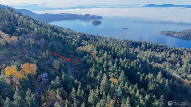 Land, Bellingham