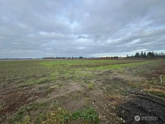 Land, Lynden