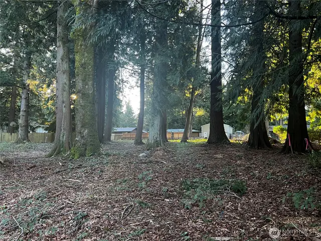 Land, Bellingham
