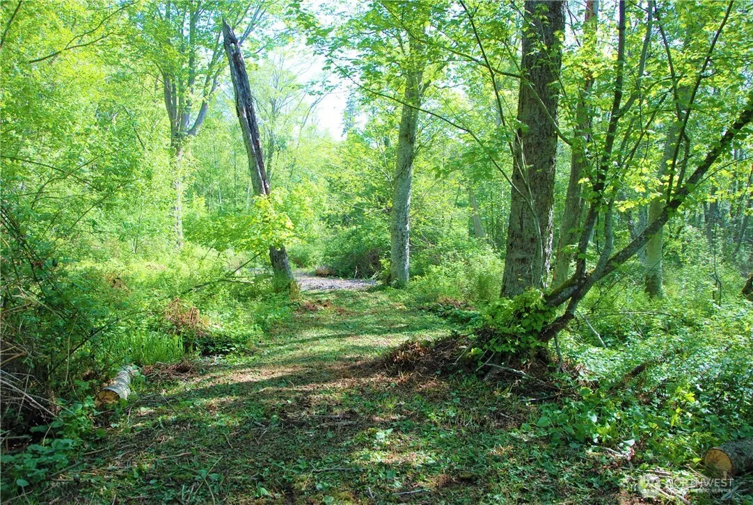 Land, Blaine