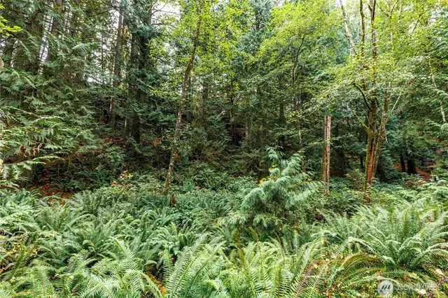 Land, Bellingham