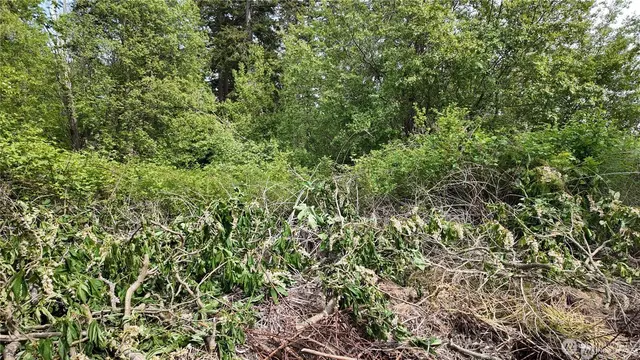 Land, Anacortes