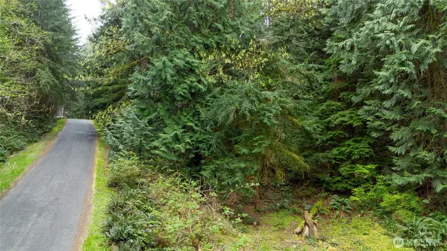 Land, Bellingham