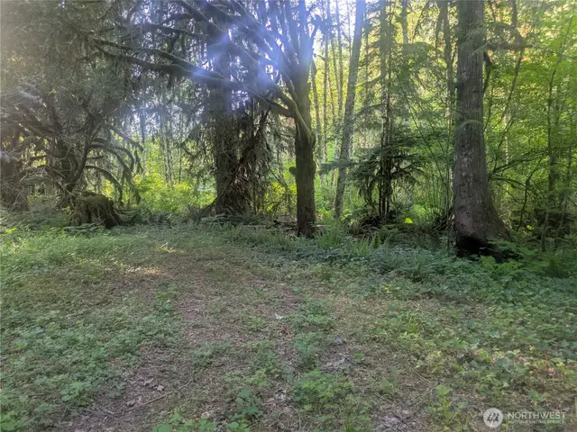 Land, Marblemount