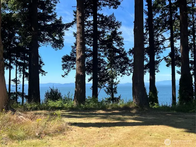 Cabin, Point Roberts