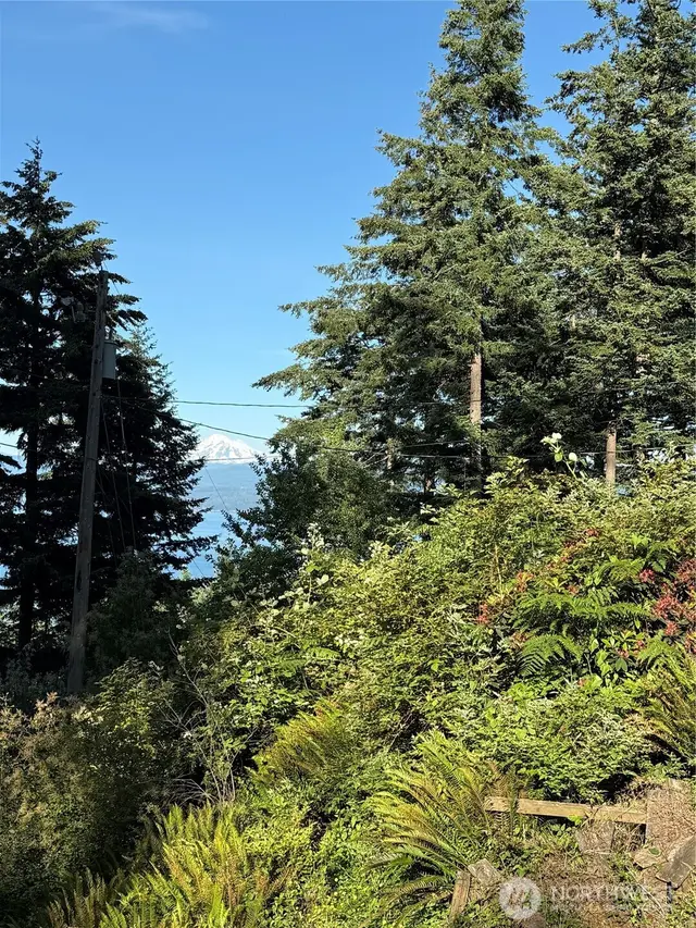 Land, Lummi Island