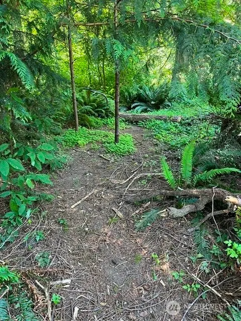Land, Bellingham