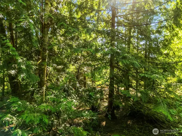 Land, Sedro Woolley