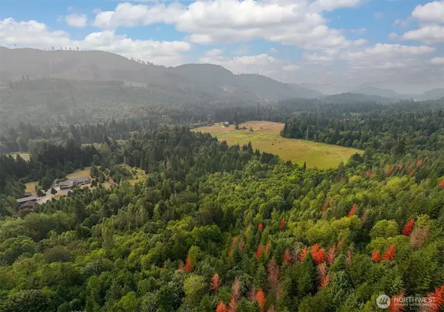 Land, Maple Falls