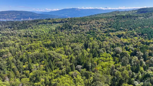 Land, Bellingham
