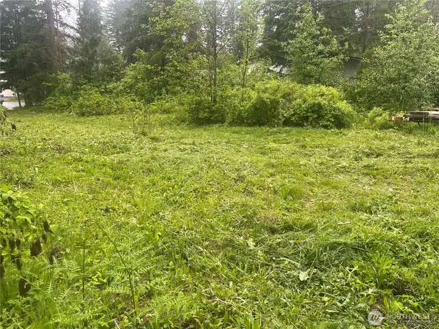 Land, Maple Falls