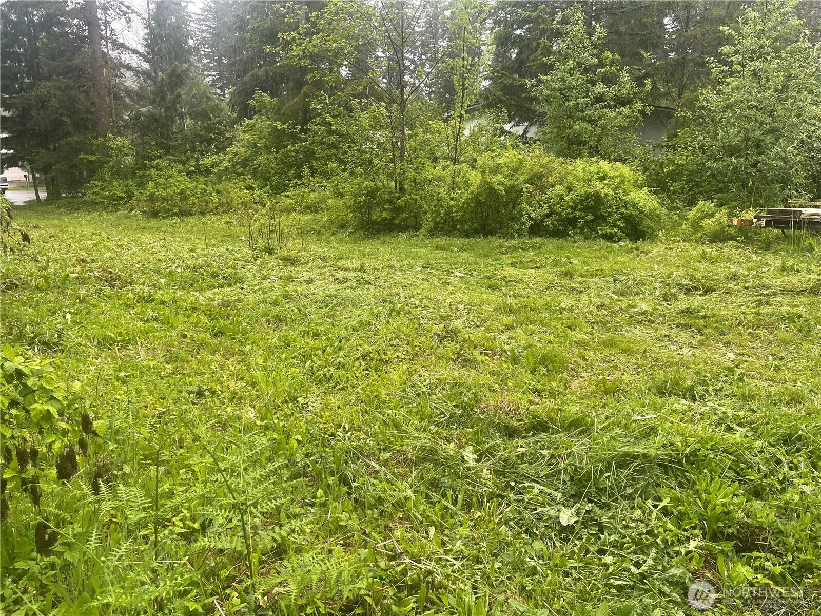 Land, Maple Falls