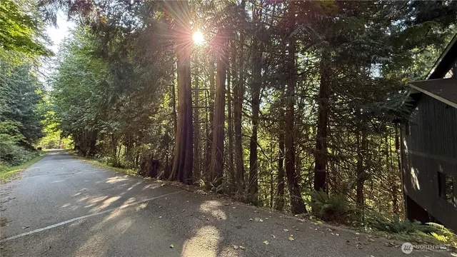 Land, Bellingham