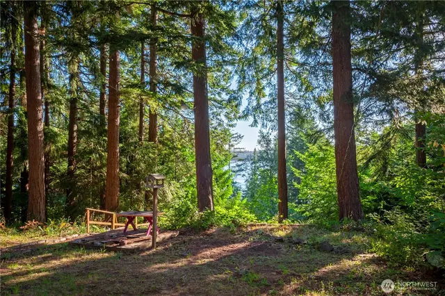 Cabin, Lummi Island