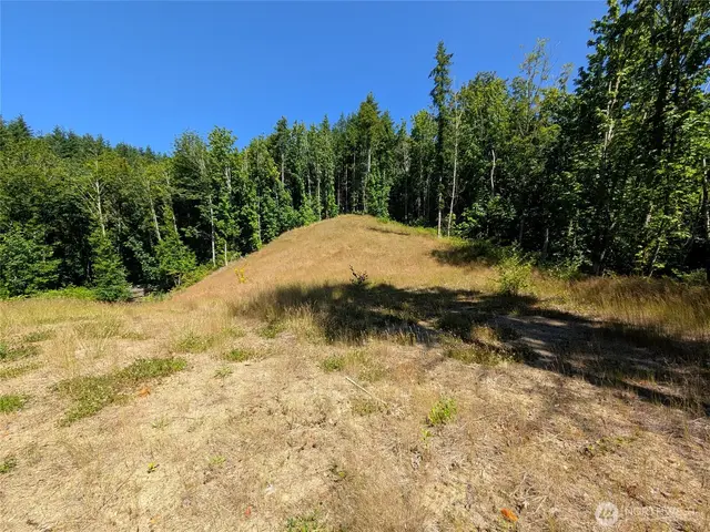 Land, Bellingham