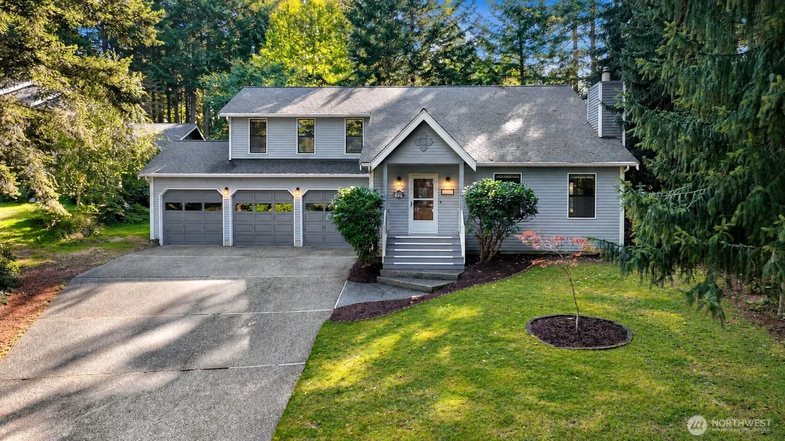 Traditional, Bellingham