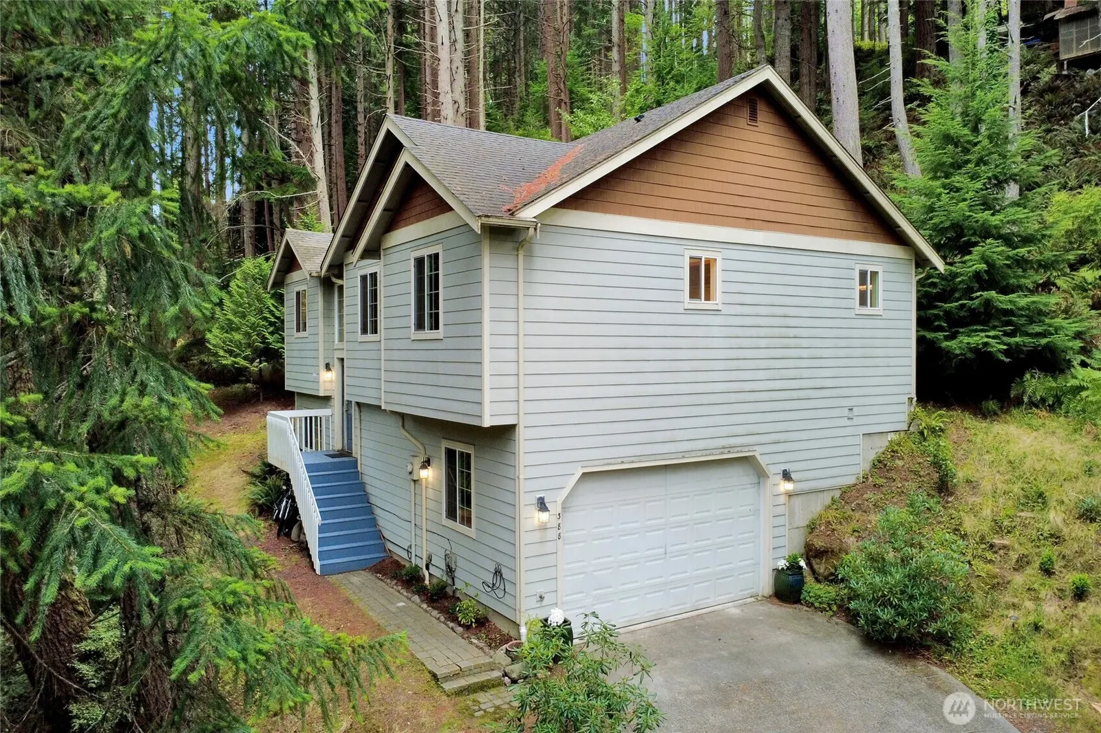 Traditional, Bellingham