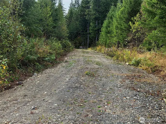 Land, Maple Falls