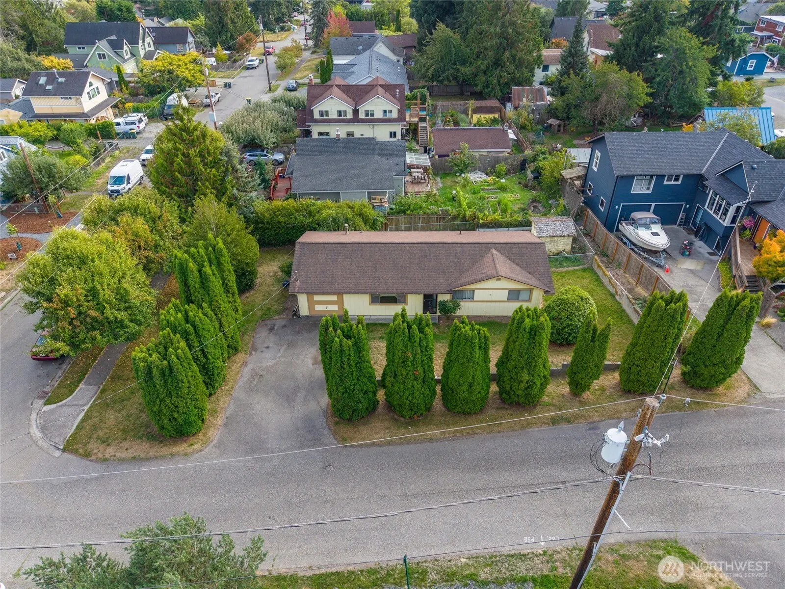Traditional, Bellingham