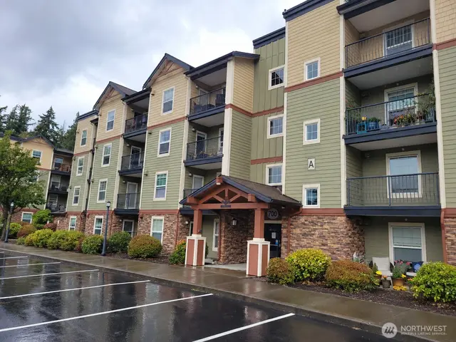 Traditional, Bellingham