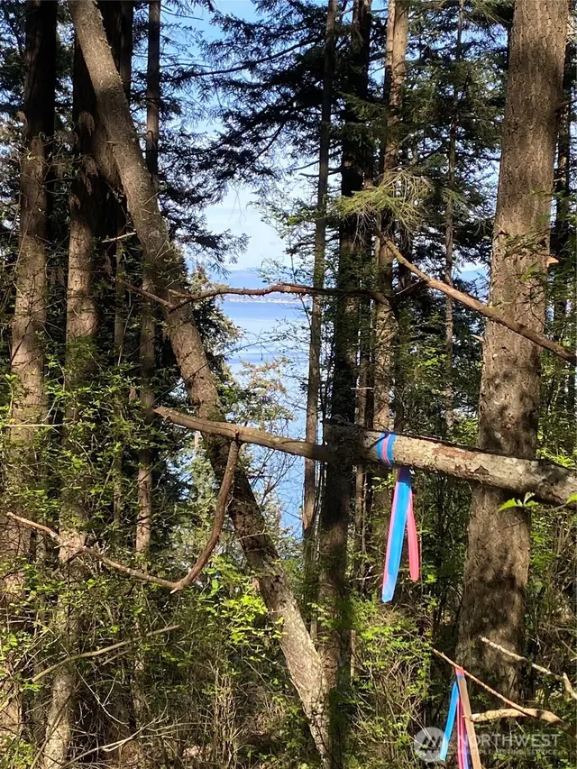 Land, Lummi Island