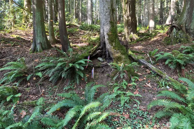 Land, Bellingham