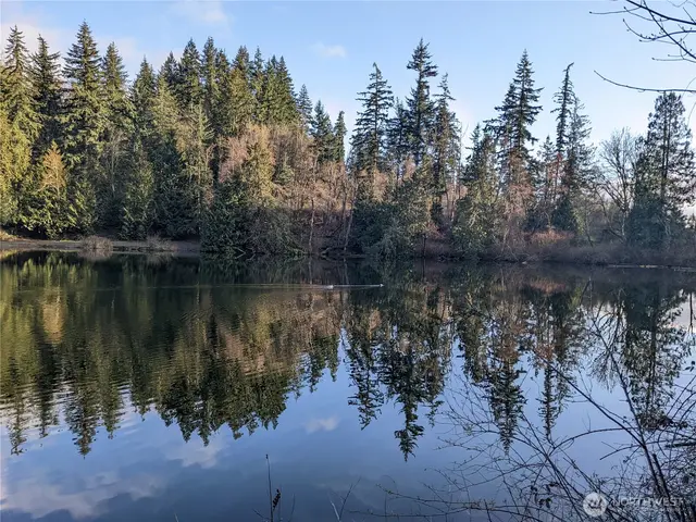 Land, Bellingham