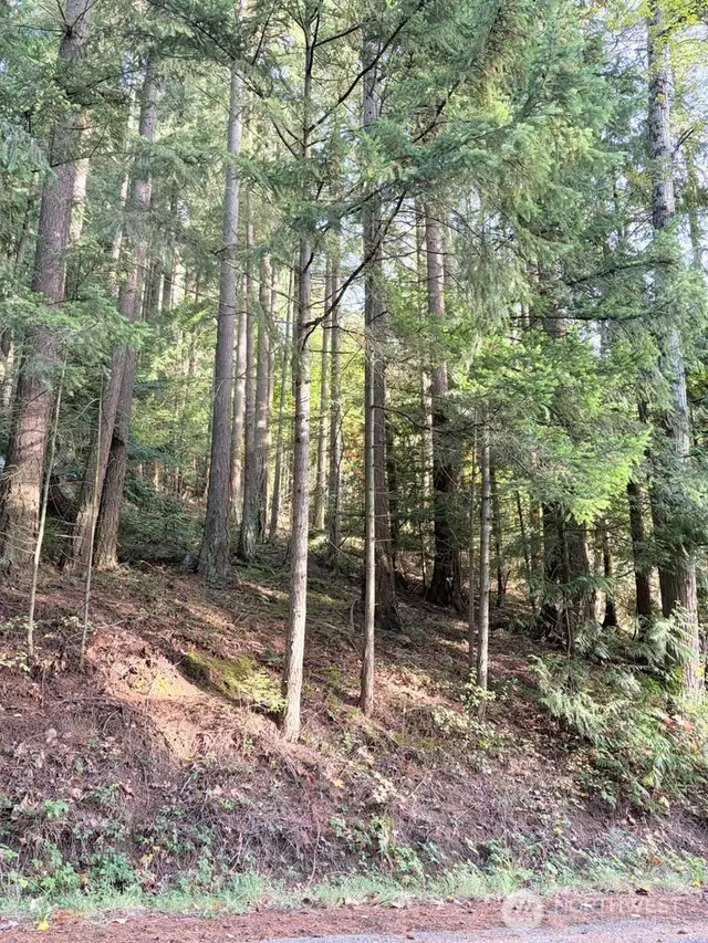 Land, Bellingham