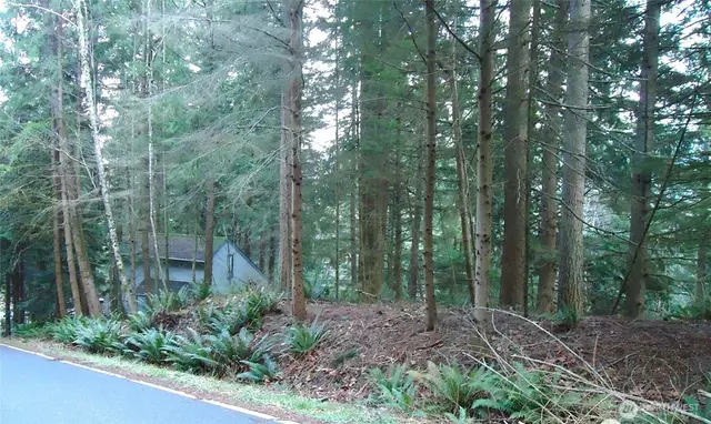 Land, Bellingham