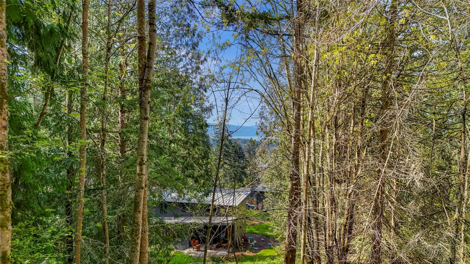 Land, Bellingham